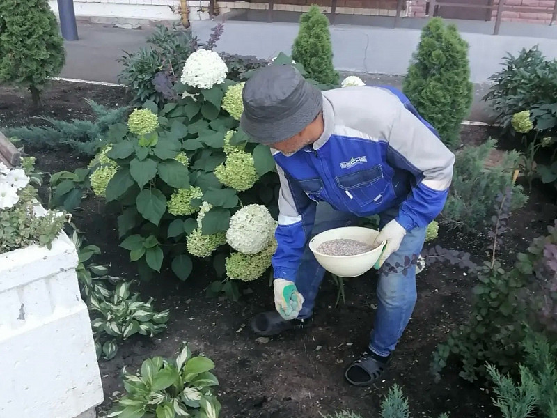 Новые работы, новые свершения! 